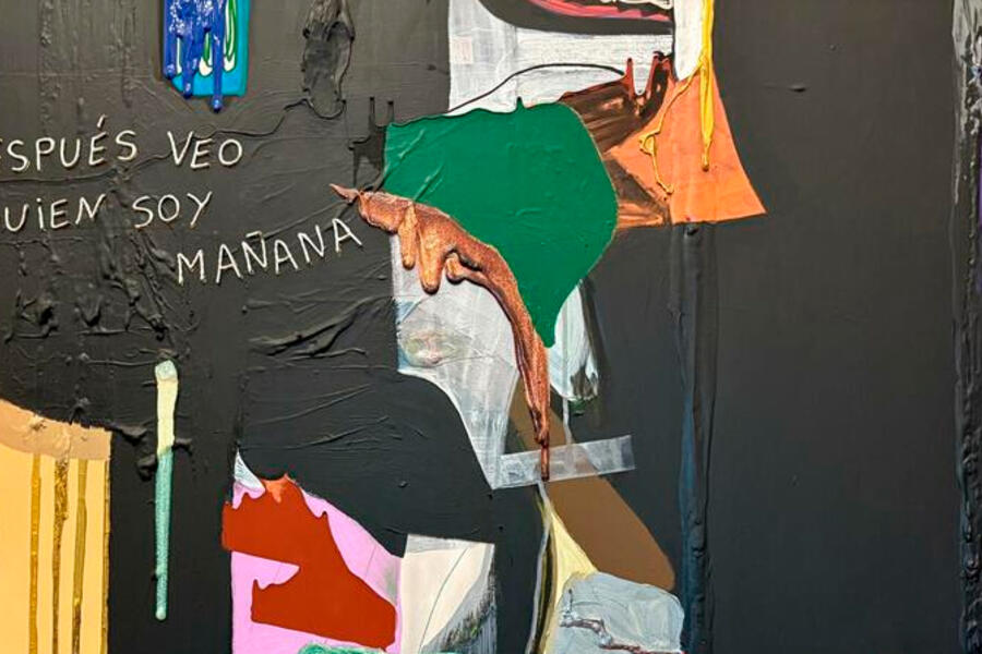 Fictions with Skin, a Reading of Ruth Benzacar's Autumn Exhibitions