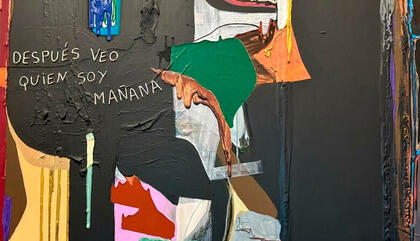 Fictions with Skin, a Reading of Ruth Benzacar's Autumn Exhibitions