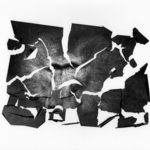 Animal traces 1