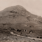 Turistas en busca del misterioso Toxodon.