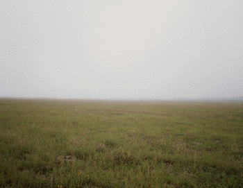 Paisaje II