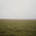 Paisaje II