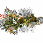 paisaje_73 Cambios de estado