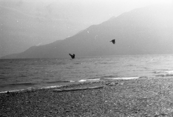  Vuelo a la orilla del lago
