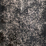 ST (barbas de viejo N 1)