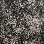 ST (barbas de viejo N 3) 