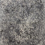 ST (barbas de viejo N 4)