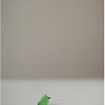 La tinta perdida una falsa verdad 