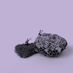 Un mundo sin nosotros #1