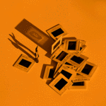 Un mundo sin nosotros #23