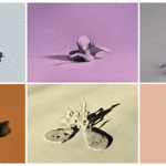 Un mundo sin nosotros, 6 obras de la serie