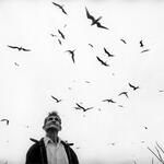 El señor de los pájaros