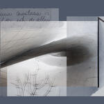 El rastro de la ausencia