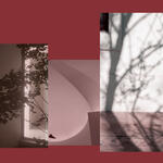 El rastro de la ausencia 