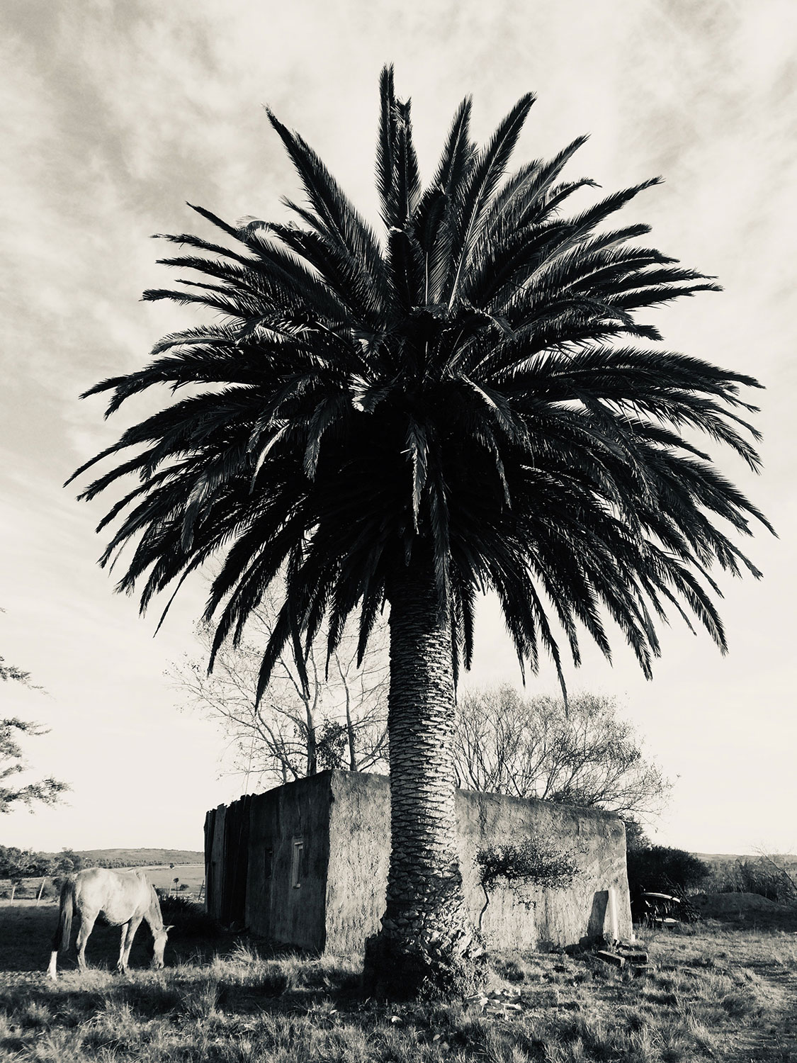 Lost Horizon under an endless sky