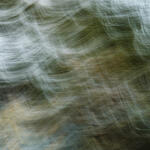 A pasos del Lacar, San Martin de los Andes