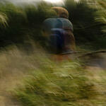 Hombre entre los pastos, Platja del Borro