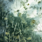 Remontar Vivencias 1