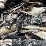 Site specific | Primera Sal