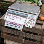 Oficina de Proyectos
