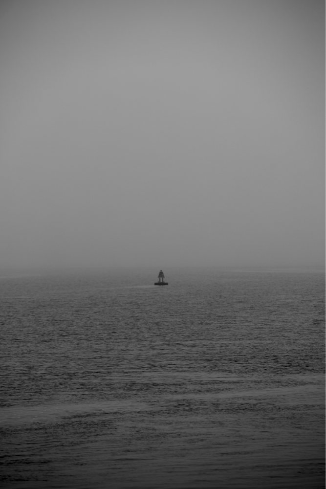 The Signal Southampton