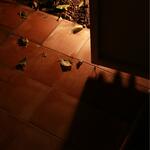 S/t 3 Del proyecto: “Imagen de la oscuridad” 