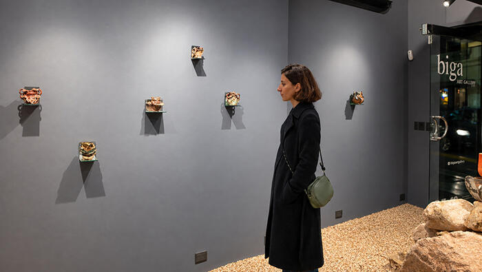 Biga Art Gallery