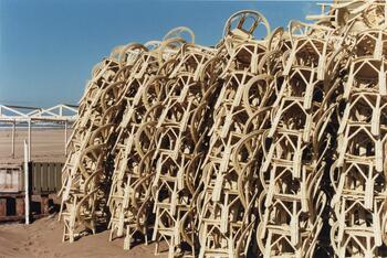 Sin título