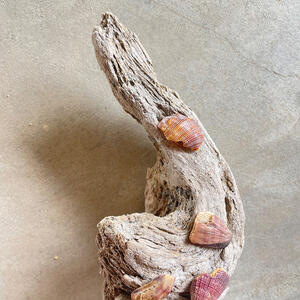 ROSEUM Arte Contemporáneo