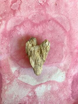 Amuletos Naturales II