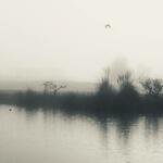 Breve Tratado sobre la niebla I