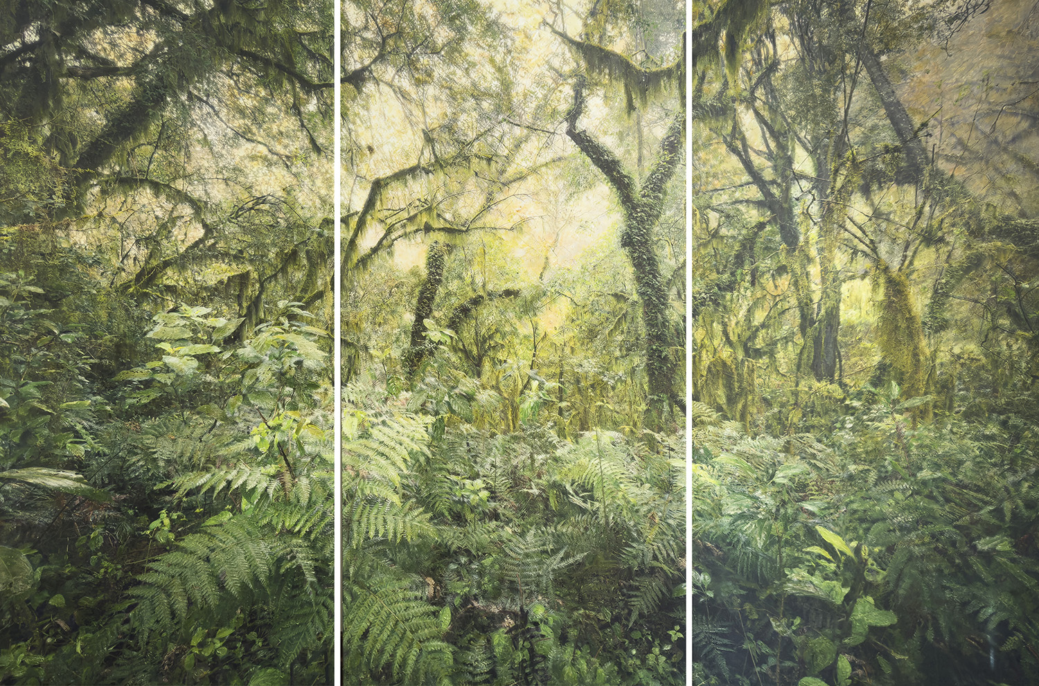 Yungas, de la serie Cromosíntesis