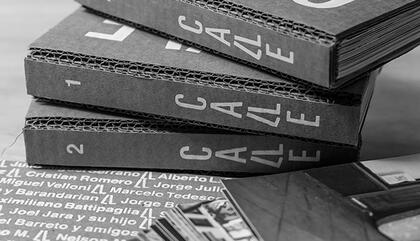 ¨Proyecto CALLE¨