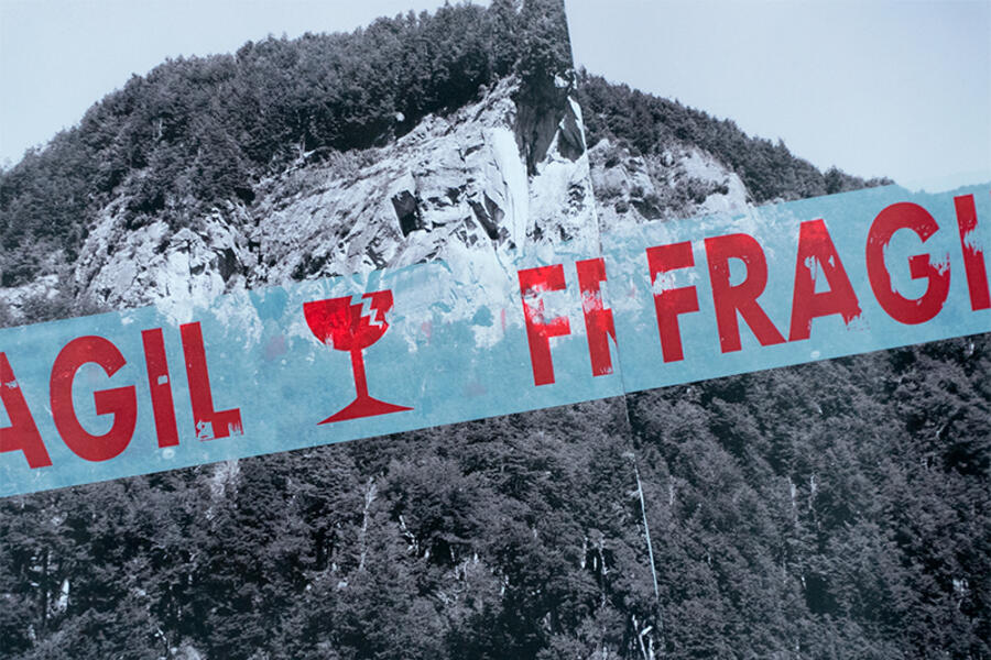 NEXT | Fuera de foco: Here, Always and Never NEXT | Fuera de foco: Here, Always and Never