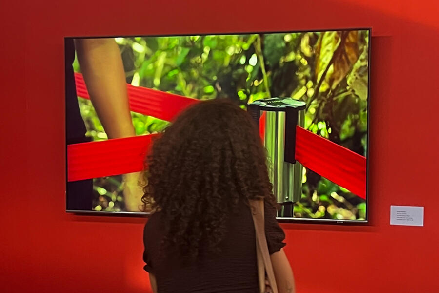 Video Project | Donna Conlon: Fragile Shelters Video Project | Donna Conlon: Fragile Shelters