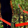 Zona de confort still