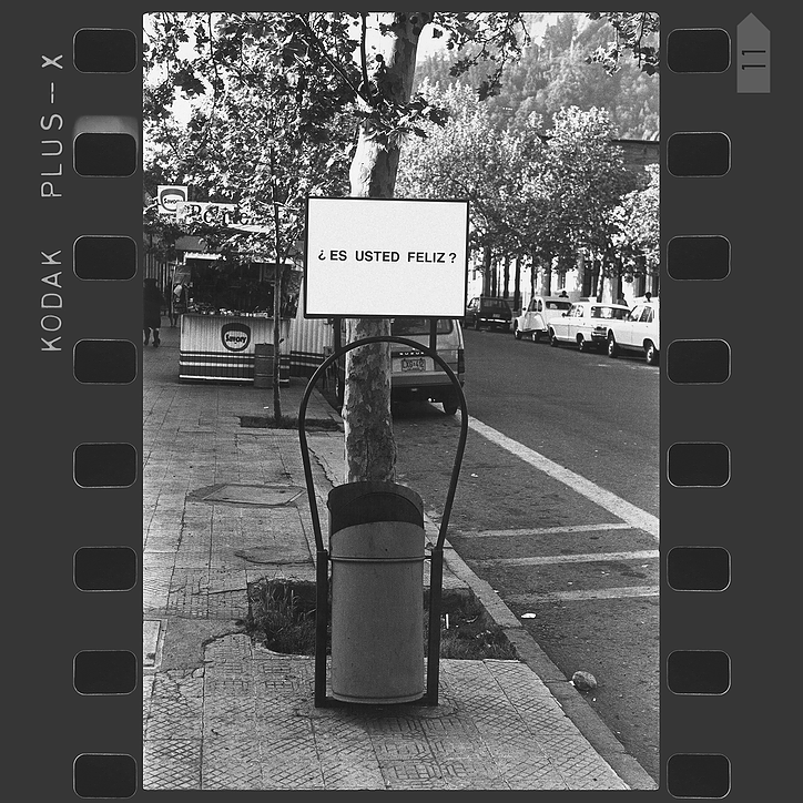 Public Interventions (Studies on Happiness: 1979-81) - B Public Interventions (Studies on Happiness: 1979-81) - B