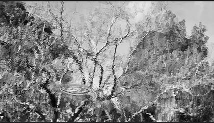 Serie Reflejos III
