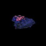 Deconstruction of a Mountain #9