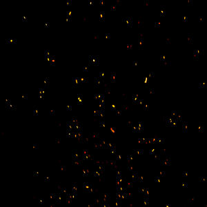 ZONADEPHOTO - ZDPH