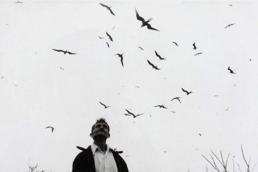 A journey through Latin American photography and a reflection on the role of collecting