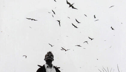 A journey through Latin American photography and a reflection on the role of collecting
