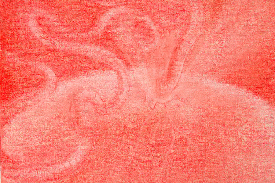 Zoé Guillén: A Universe of Organic Forms and Transforming Matter at La Rebelde