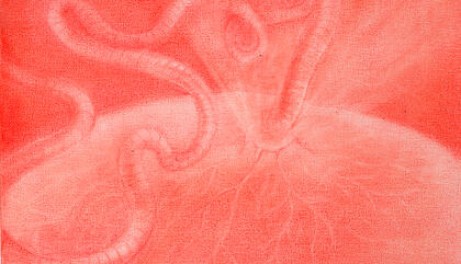 Zoé Guillén: A Universe of Organic Forms and Transforming Matter at La Rebelde