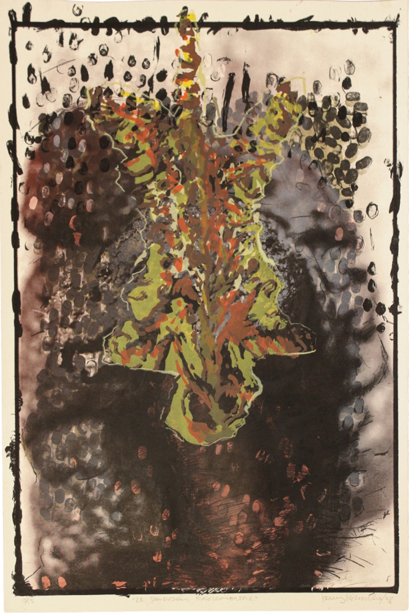 La sinrazón excremental