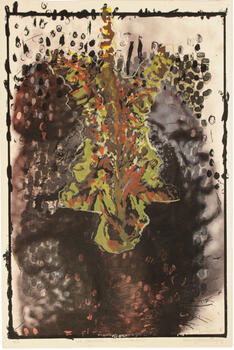 La sinrazón excremental