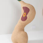 Untitled Serie Softbody