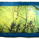 Thriving beyond soil