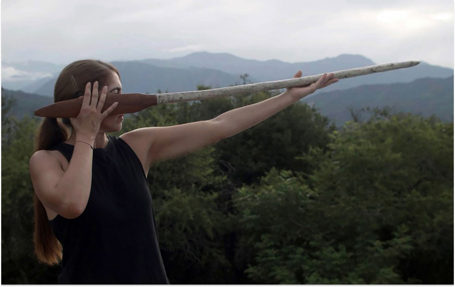 Contorno biográfico II