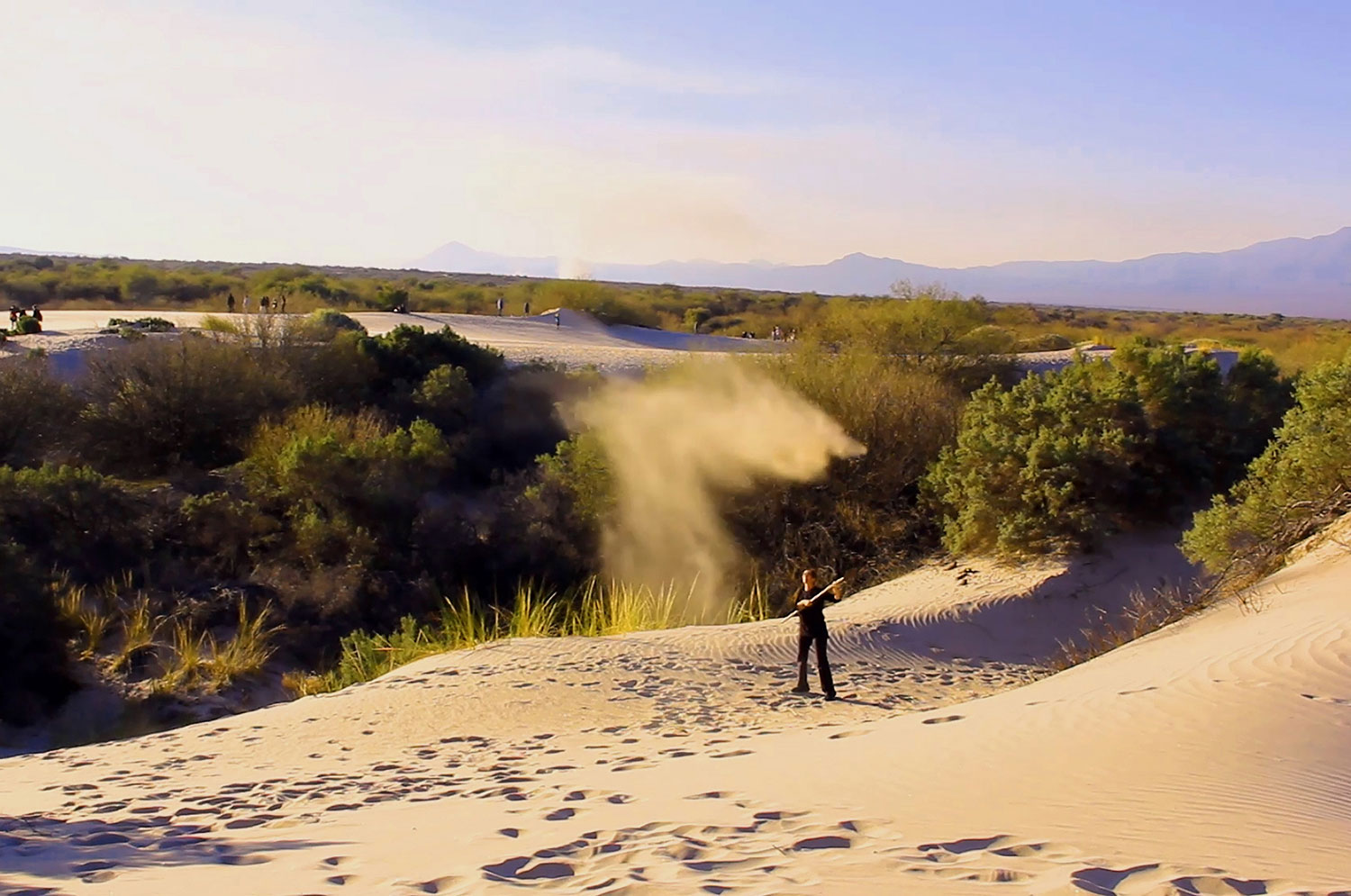 Contorno biográfico II